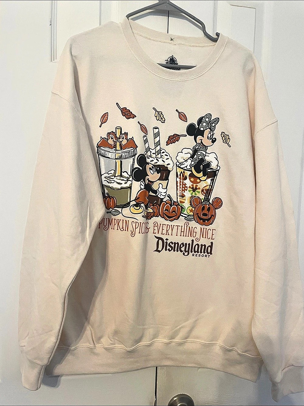 Disney Disneyland Pumpkin Spice Everything Nice Sweatshirt Graphic Sweatshirt in